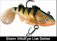 Storm WildEye Live Rainbow Trout Fishing Lures (3-Pack) 5/16 oz | 4