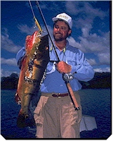Author Gary Laden lands a giant peacock bass during his fishing excursion to Brazil's Rio Negro Lodge.