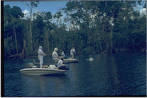 Two anglers are paired with an experienced Brazilian guides and fish out of roomy Nitro bass boats.