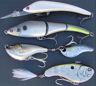 Sébile Stick Shad one of the best lures used in the Cape Cod Canal for  Striped Bass Fishing. Oce…