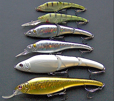 Missouri Minnow