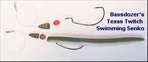 Keys to Your Senko Fishing Success